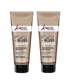 2xPack ARTIST Professional Shampoo Brown+Gloss - 500 ml