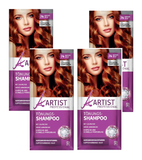 4xPack ARTIST Professional Tinting Shampoo - 5 Shades