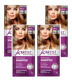 4xPack ARTIST Professional Tinting Shampoo - 5 Shades