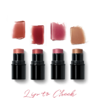 Dr. Hauschka Lip to Cheek, Four Shades - 6.1 g