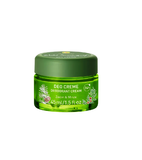 Primavera Forest Walk Deodorant Face Cream - 45 ml