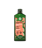 Yves Rocher Repair Hair Shampoo - 300 ml