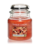Yankee Candle Cinnamon Stick Housewarmer Fragrance