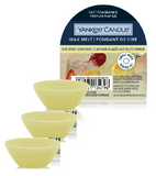 3xPack Yankee Candle Iced Berry Lemonade Wax Melt Single Scented Home Fragrance