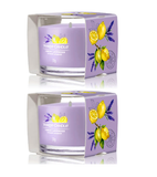 2xPack Yankee Candle Lemon Lavender Filled Votive Scented Home Fragrance