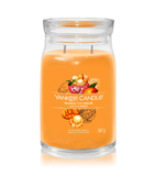 Yankee Candle Mango Ice Cream Scented Home Fragrance