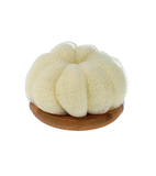 BODY&SOUL Body Massage Brush with Tuft - 1 Piece