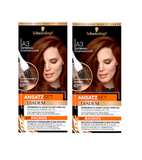 2xPack Schwarzkopf Ansatzset Permanent Hair Color Sets - 5 SHADES - 90 ml